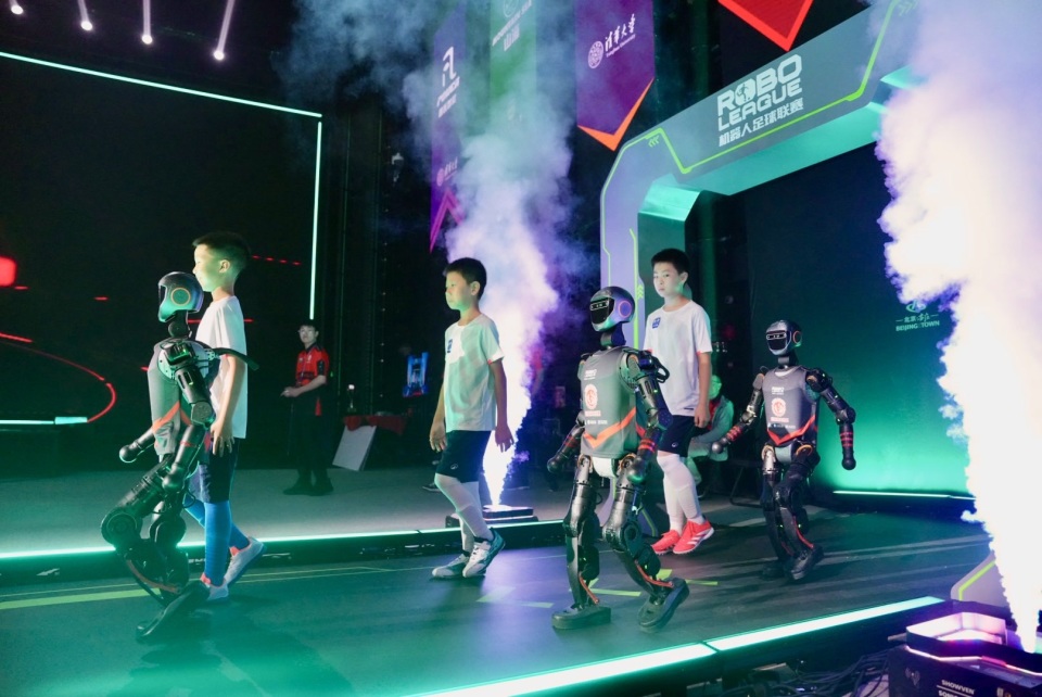 鹰队的球迷 鹰队的球迷